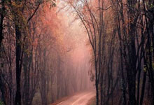 奠定出线基础! 中国队逆转泰国队,客场全取三分.