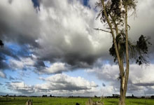 《衛報》：德赫亞若無緣大俱樂部，或直接選擇退役.