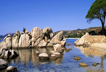 168体育官网：2020歐洲杯獎金分配方案.